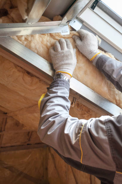 Best Insulation Installation Services in Benson, NC